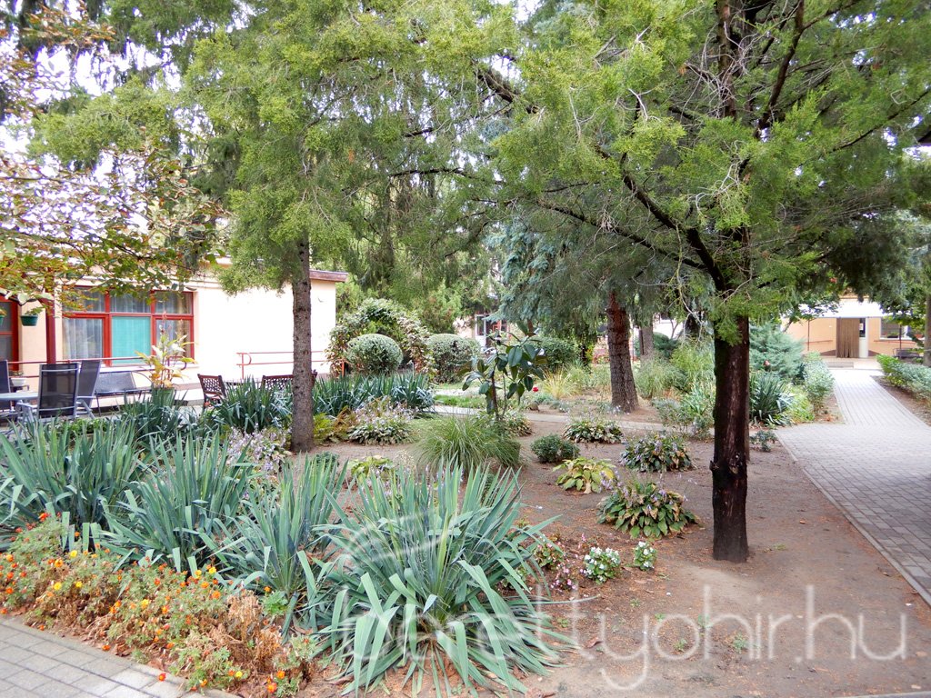 Szüreti mulatság 37